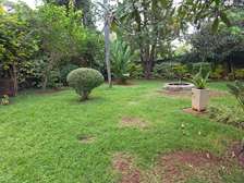 Commercial Property with Backup Generator in Ngong Road