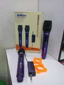 Dual wireless P.A microphone Max SM-2.0