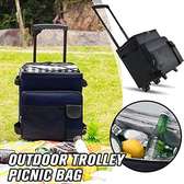 Outdoor picnic trolley bag
