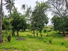Residential Land in Kikambala