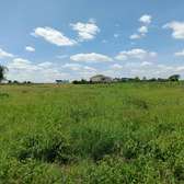 Land for sale in isinya