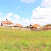 Affordable plots for sale at mlolongo