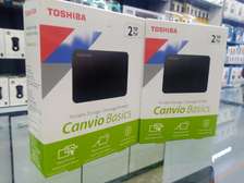 2TB Toshiba Canvio Basics Portable Hard Drive.
