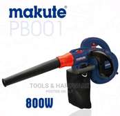 Aspiratory Blower With Variable Speed
