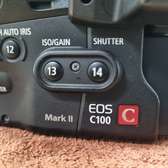 Canon C100 Mark ii with Canon EF 17-40mm f/4L USM Lens