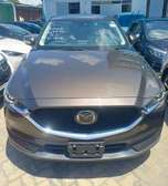 Mazda cx-5 brown