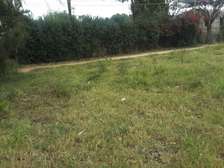 Beautiful One Acre Land in Ongata Rongai