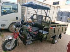 NEW APSONIC CARGO TUKTUK 250CC