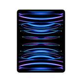 APPLE IPAD PRO 12.9 M2 1TB 6 GENERATION WIFI CELLULAR