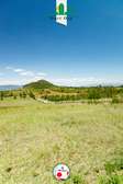 0.125 ac Residential Land in Naivasha