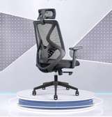 Office Chair: Comfortable Ergonomic Chair With Star Base