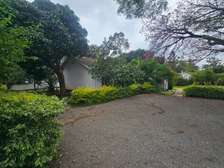 Commercial Property with Parking in Lavington