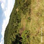 Land for lease