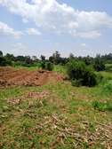 3 Acre prime Land for Sale at Shihome,Malava in Kakamega