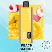 ELFWORLD I15 PRO 12000 Puffs Rechargeable Vape – Peach Mango