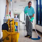 CLEANING SERVICES,FUMIGATION & PEST CONTROL KILELESHWA