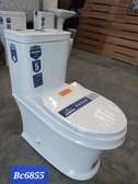 One piece toilet (High end toilets)