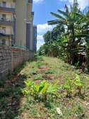 0.5 ac Land in Ruaka