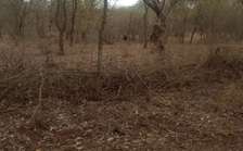 1,700 Acres In Kambu-Makueni County Is For Sale