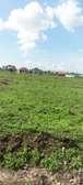 AFFORDABLE 50 BY 100 LAND FOR SALE IN KIMALAT,KITENGELA
