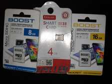 SD cards and flash disks.