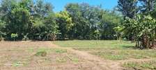 0.202 ha Land at Mtwapa