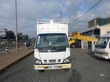 ISUZU NQR