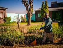 Bestcare Gardener Services in Karen,Langata,Lavington