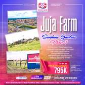 Jujafarm prime plots