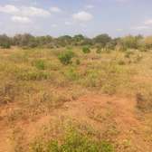 61acres and 65acres parcel on sale