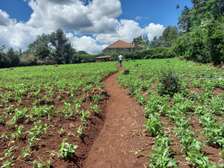 1 ac Residential Land in Runda