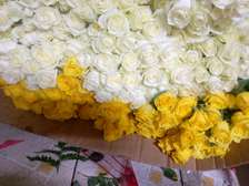 White and yellow roses