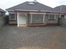 Beautiful 3 BR Houses plus Sqs in Ngong