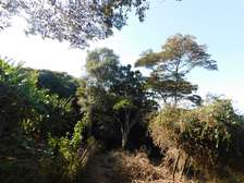 Residential Land in Karen Hardy