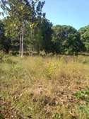 10 Acres Available For Sale in Malindi