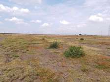 50 by 100 and 1 Acres in Nanyuki