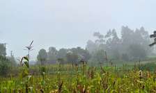 2 ac Commercial Land at Rironi