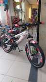 Size 20 bikes with gear