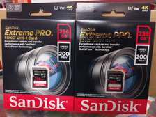 SanDisk 256GB Extreme Pro SDCX UHS-I card (200MB/s)