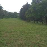 0.5 ac Residential Land in Redhill