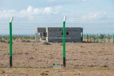 Ruiru Kamakis - Mwalimu Farm