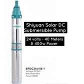 Pump SHIYUAN SOLAR DC SUBMERSIBLE WATERPUMP