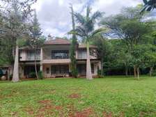Villa for rent in Karen Nairobi