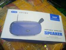 Wireless Portable Bluetooth speaker HF1066