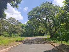 0.5 ac Land in Karen