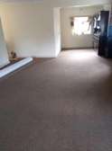 WALL TO WALL OFFICE CARPETS