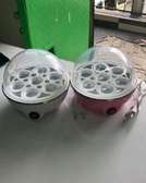 Electric egg boiler/egg poacher
