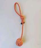 Rope Ball Tag Toy Available