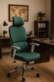 Office Chairs; High Back Robin Orthopedic Seat