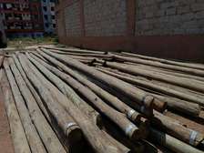 20FT Treated poles